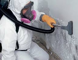 Reliable Runaway Bay, TX Mold Inspection Solutions